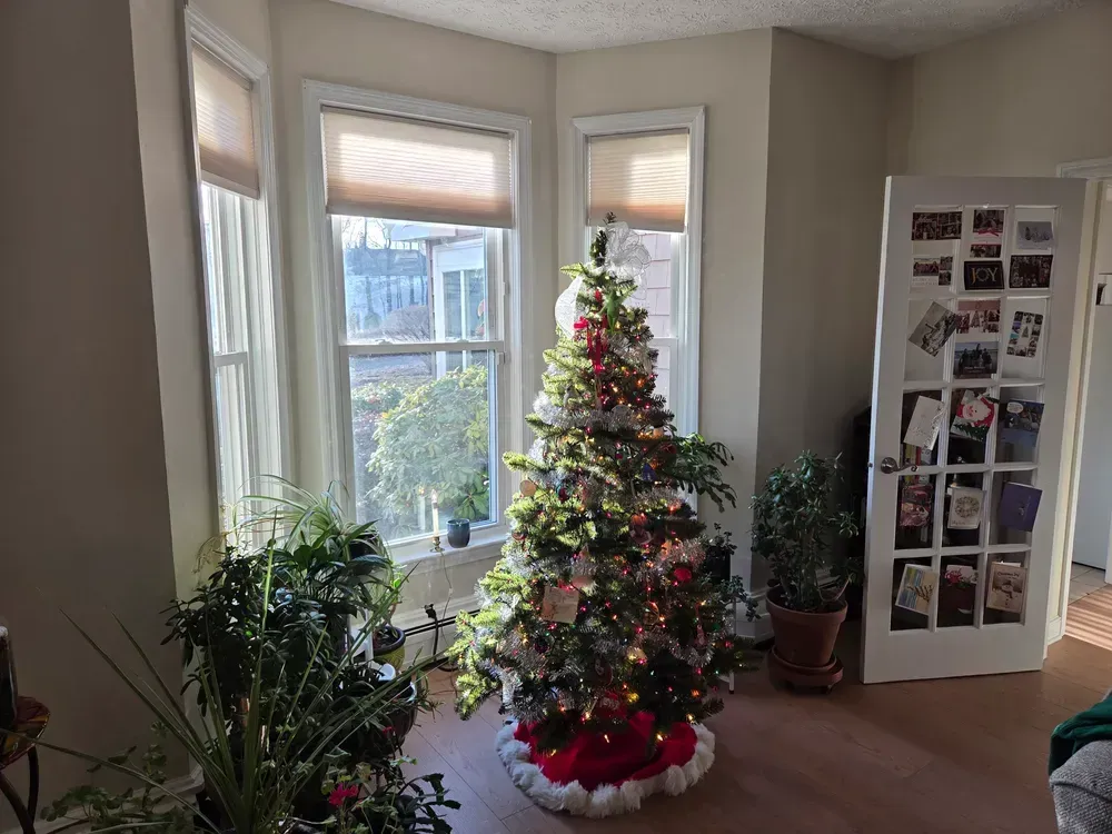 Decorated Christmas tree by bright bay windows in a living room, with plants and a photo wall