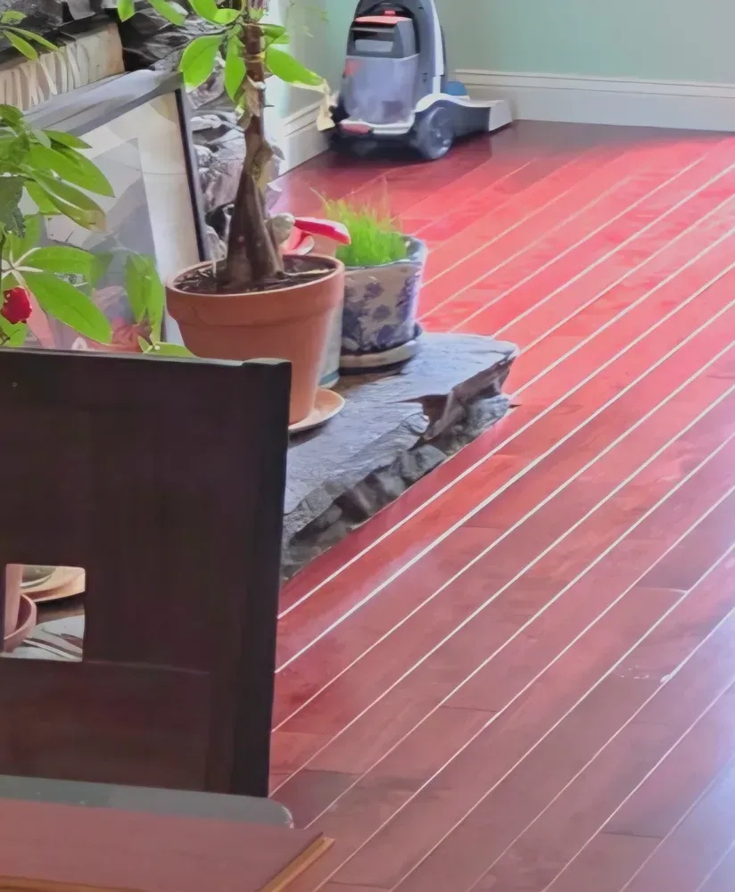 Indoor patio with red wood floor, potted plants, and a vacuum cleaner near the back wall