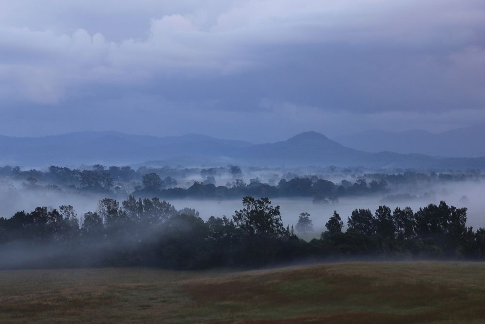 A Foggy Landscape with Trees and Mountains in The Background — J’s Concreting & Carpentry in Wauchope, NSW