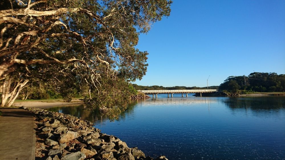 A River with A Bridge in The Background and A Tree in The Foreground — J’s Concreting & Carpentry in Lake Cathie, NSW