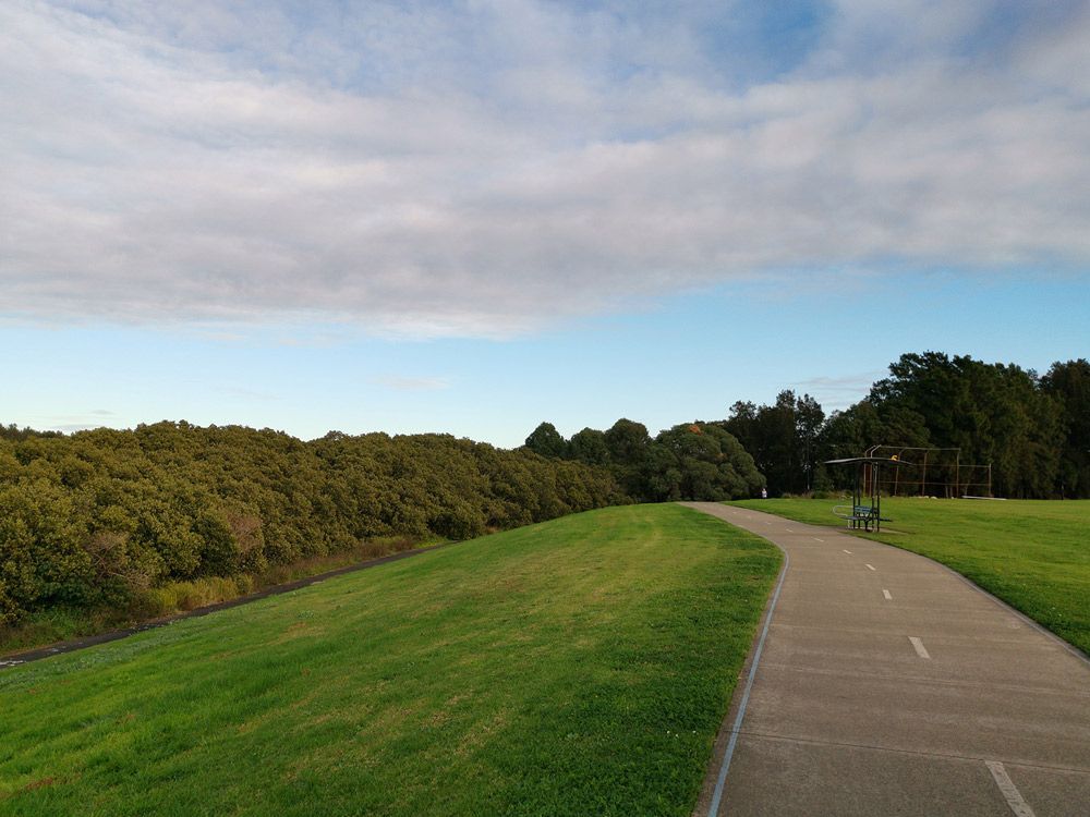 A Concrete Path Going Through a Grassy Field in A Park — J’s Concreting & Carpentry in Kendall, NSW