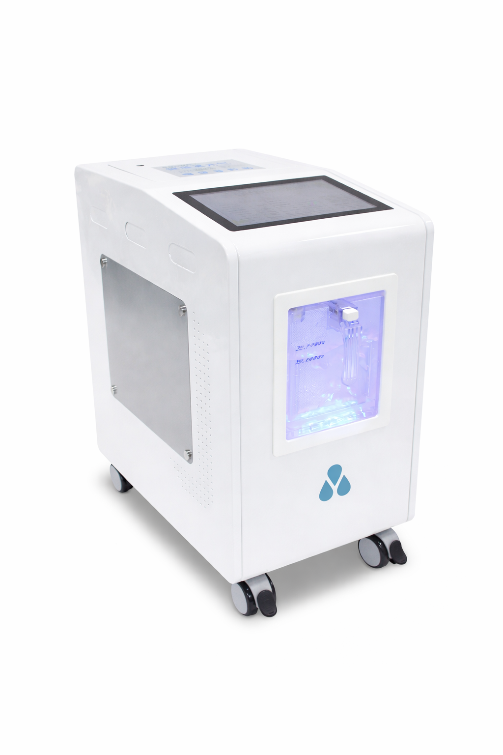 BGS 03 AEC Browngas System