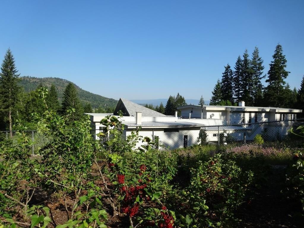 Institut und Netzwerk