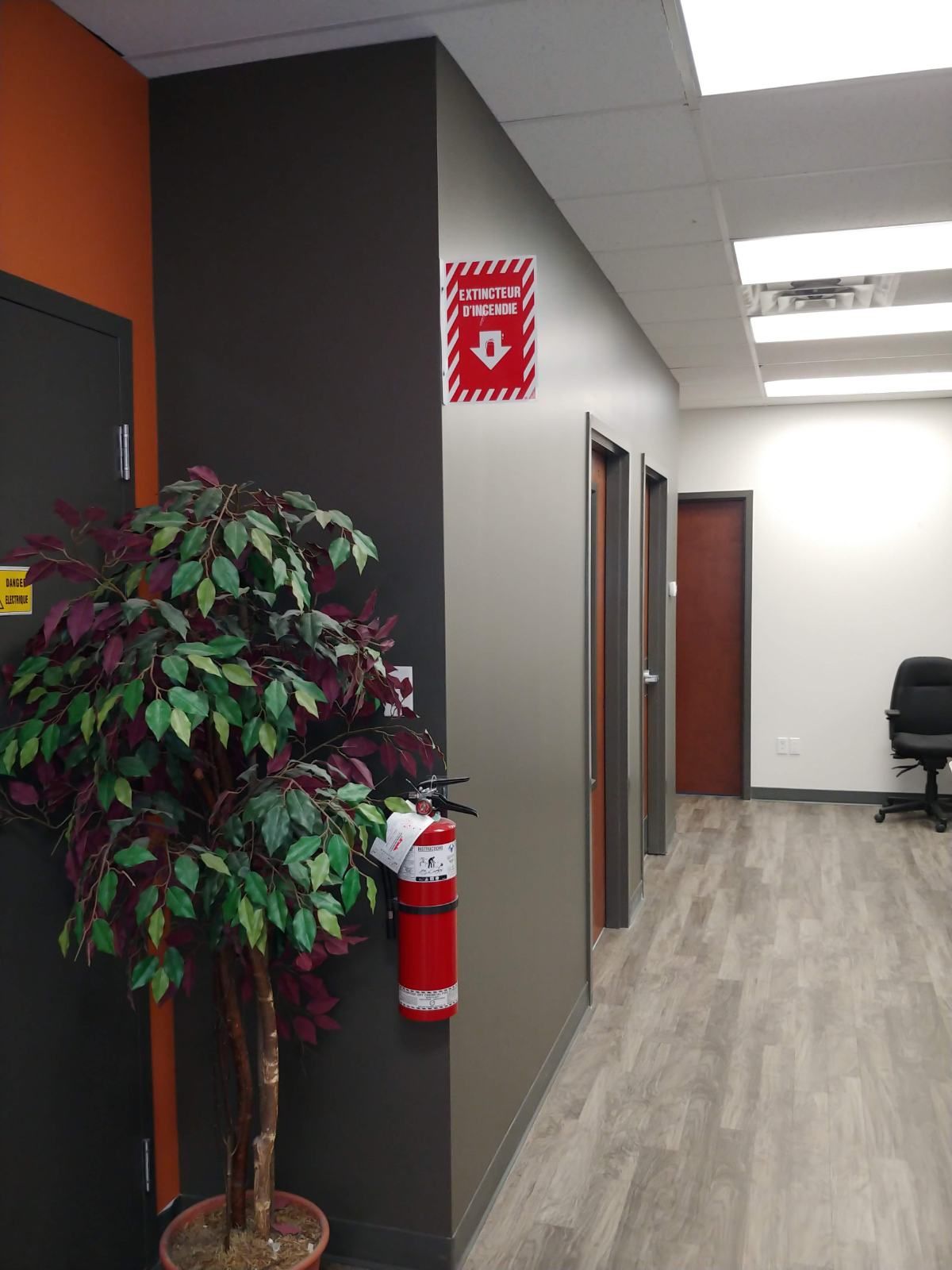 Couloir avec portes, arbre en pot, extincteur et panneau de sécurité incendie.
