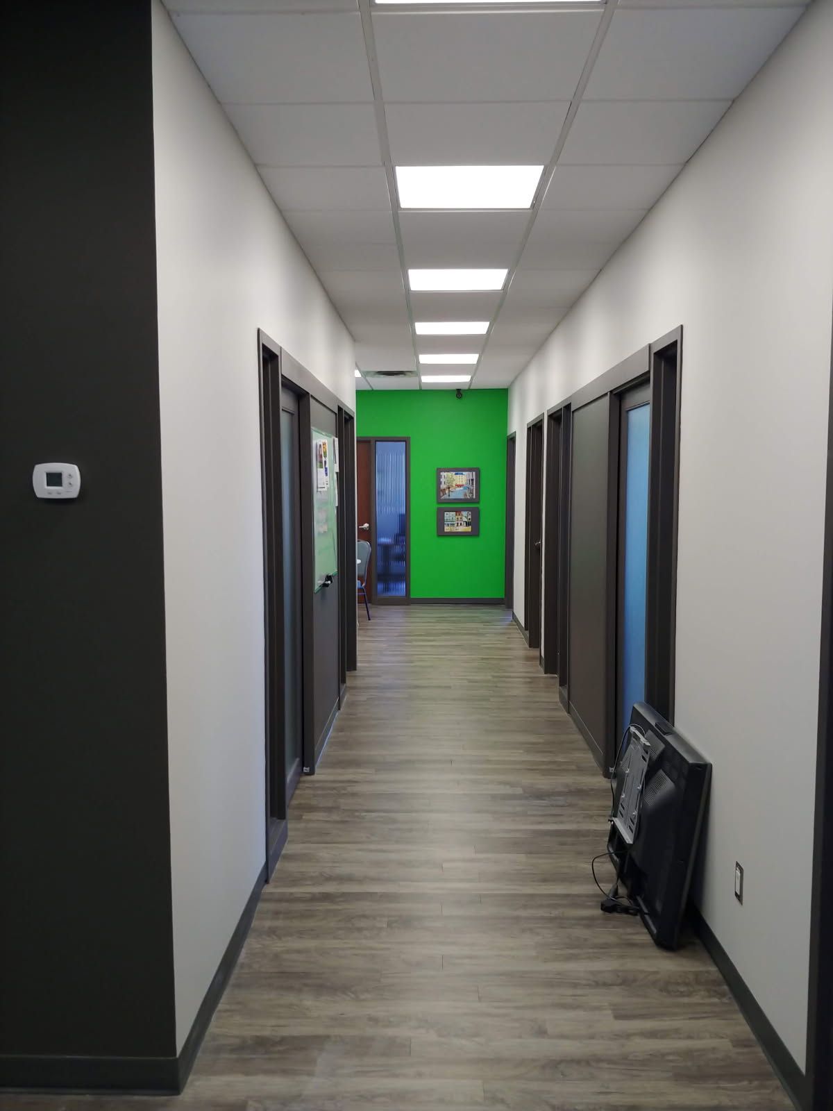 Couloir avec portes, sol gris imitation bois, murs blancs, mur d'accent noir et mur vert au fond.