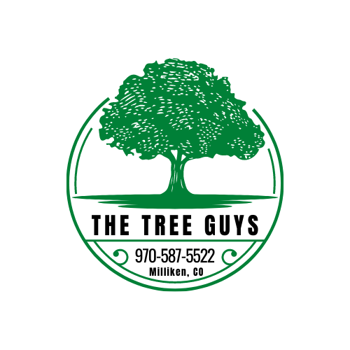 The Tree Guys LLC | HOME