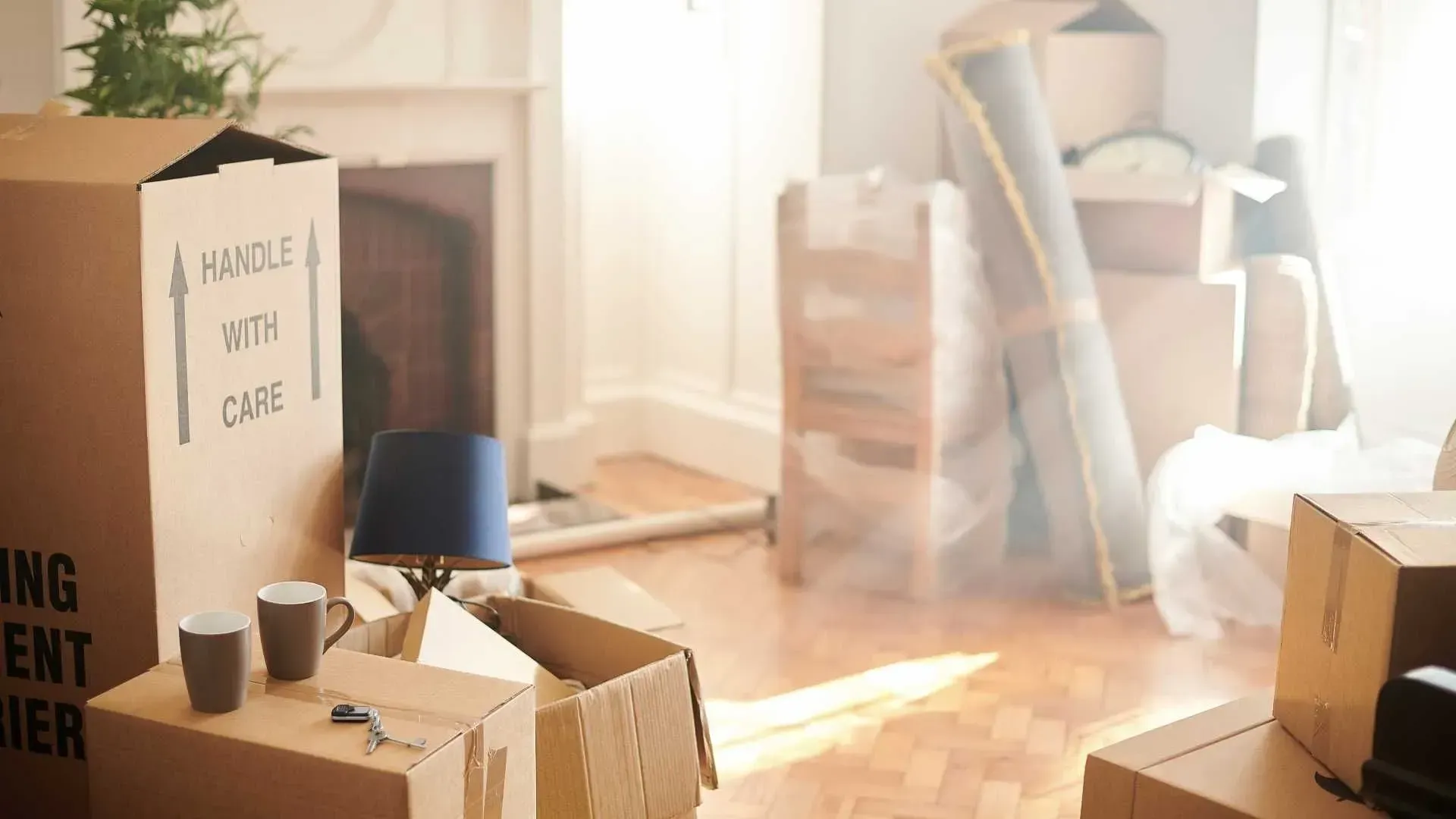 A living room filled with cardboard boxes and a lamp.