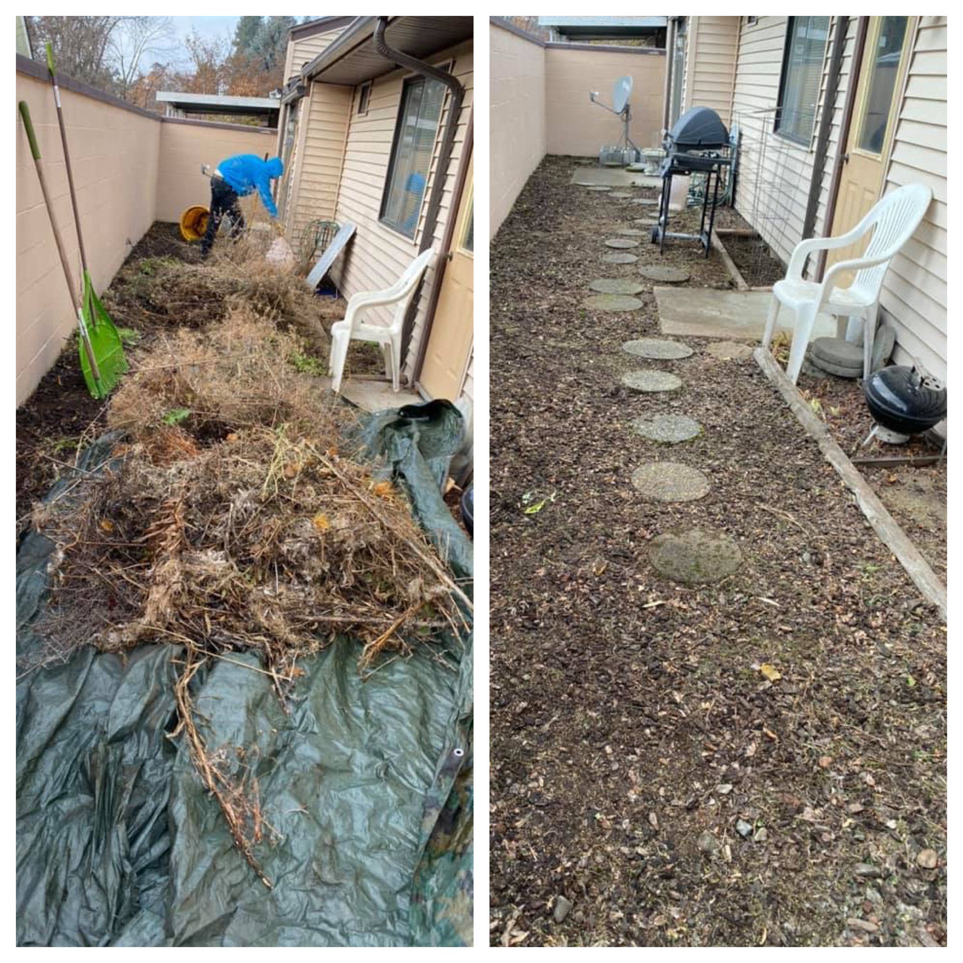 dead vegetation removed from side yard