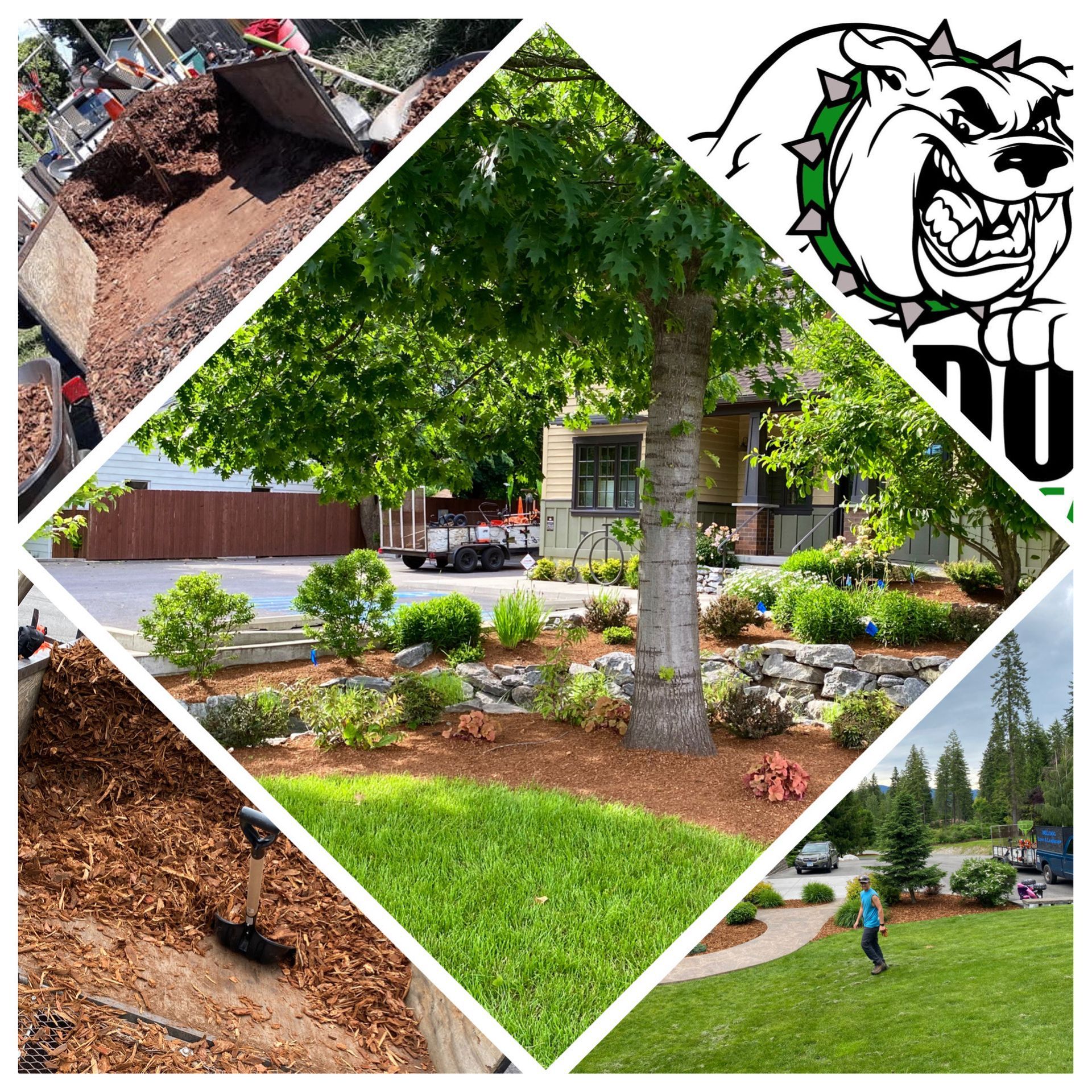 new mulch added around a tree