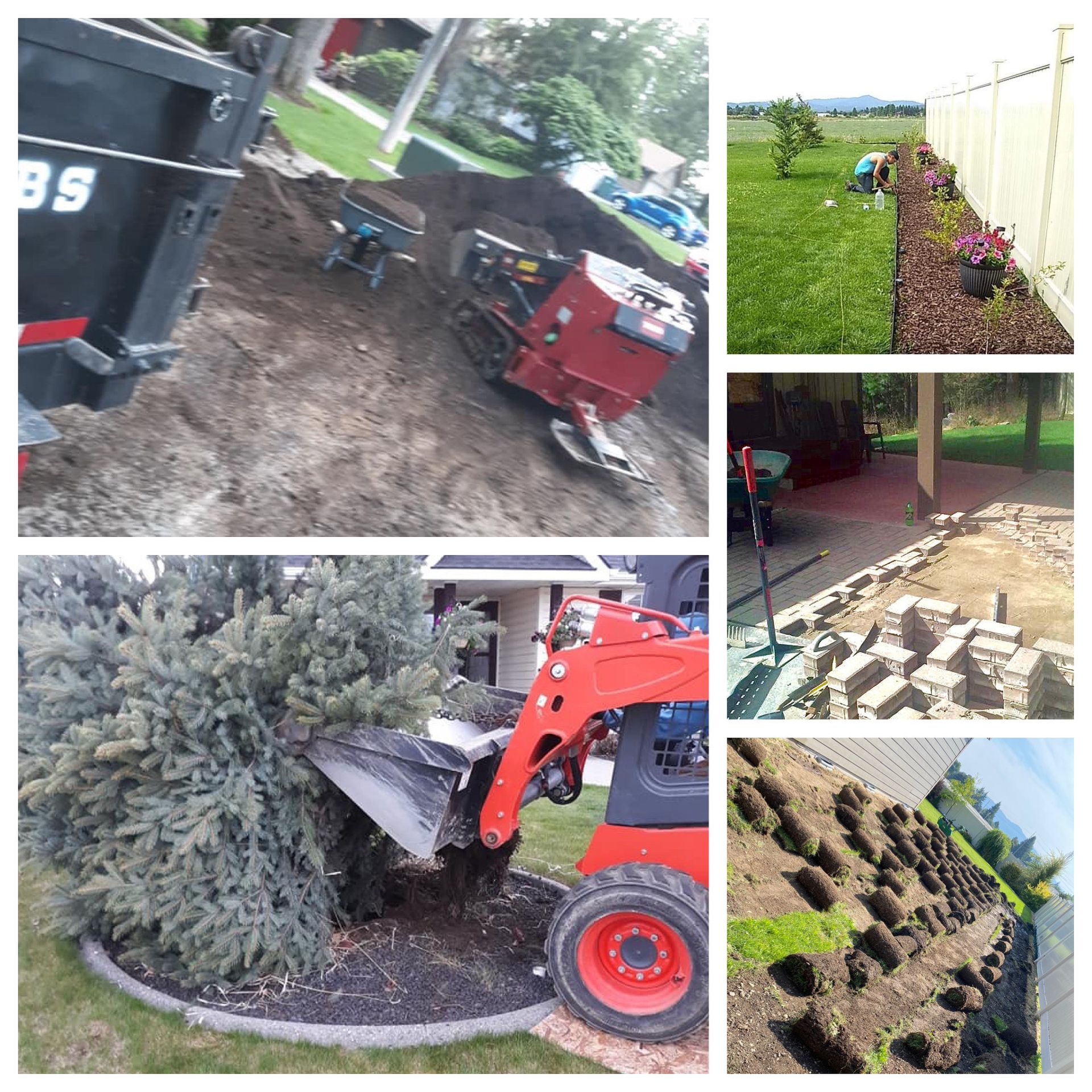 landscape renovation project