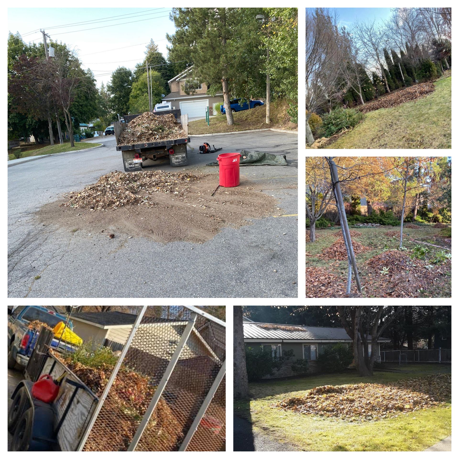 residential property leaf clean up