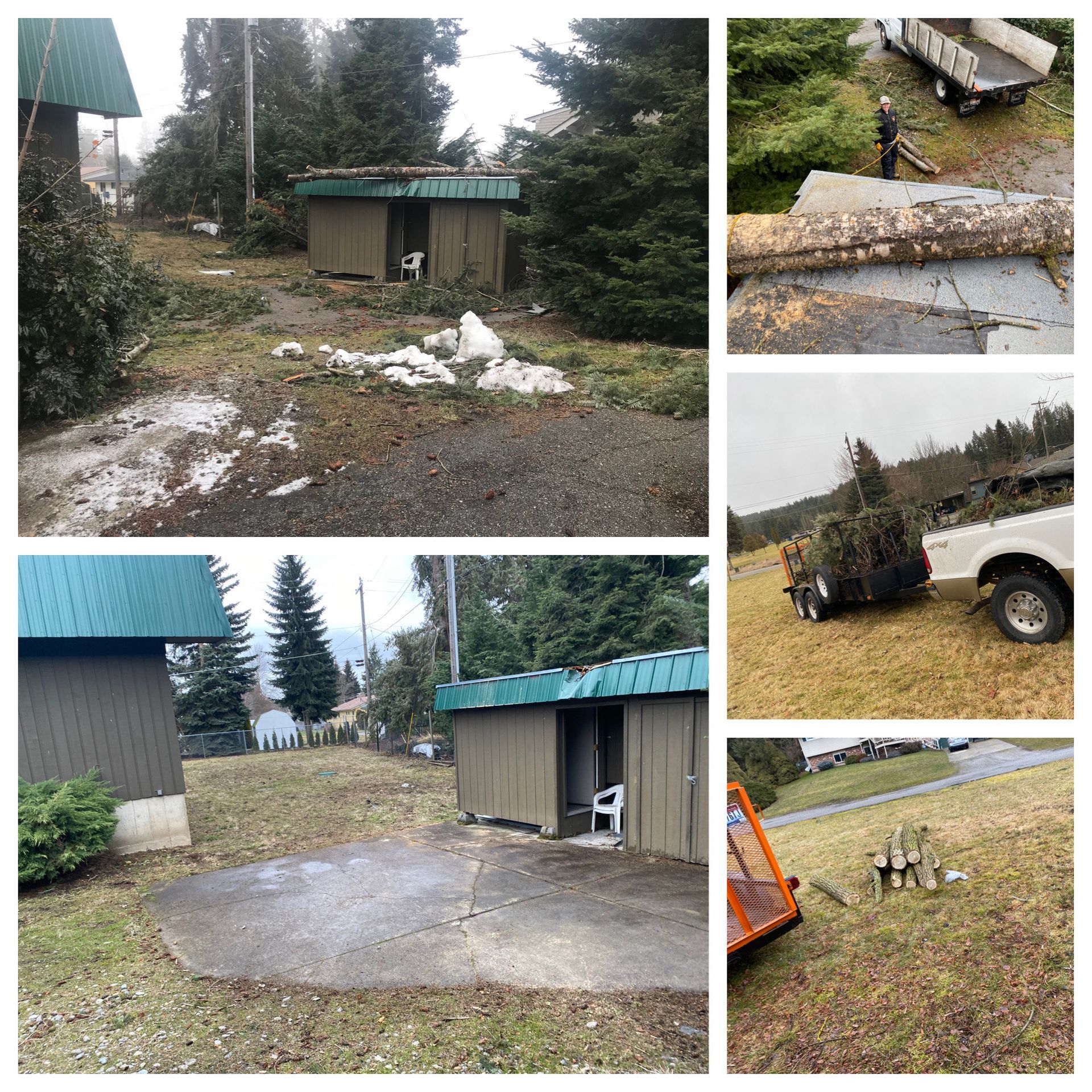 before and after tree removal