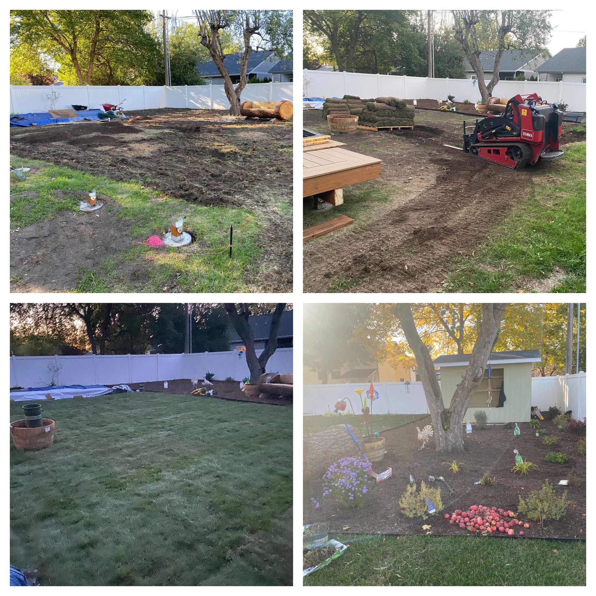 new sod installation service