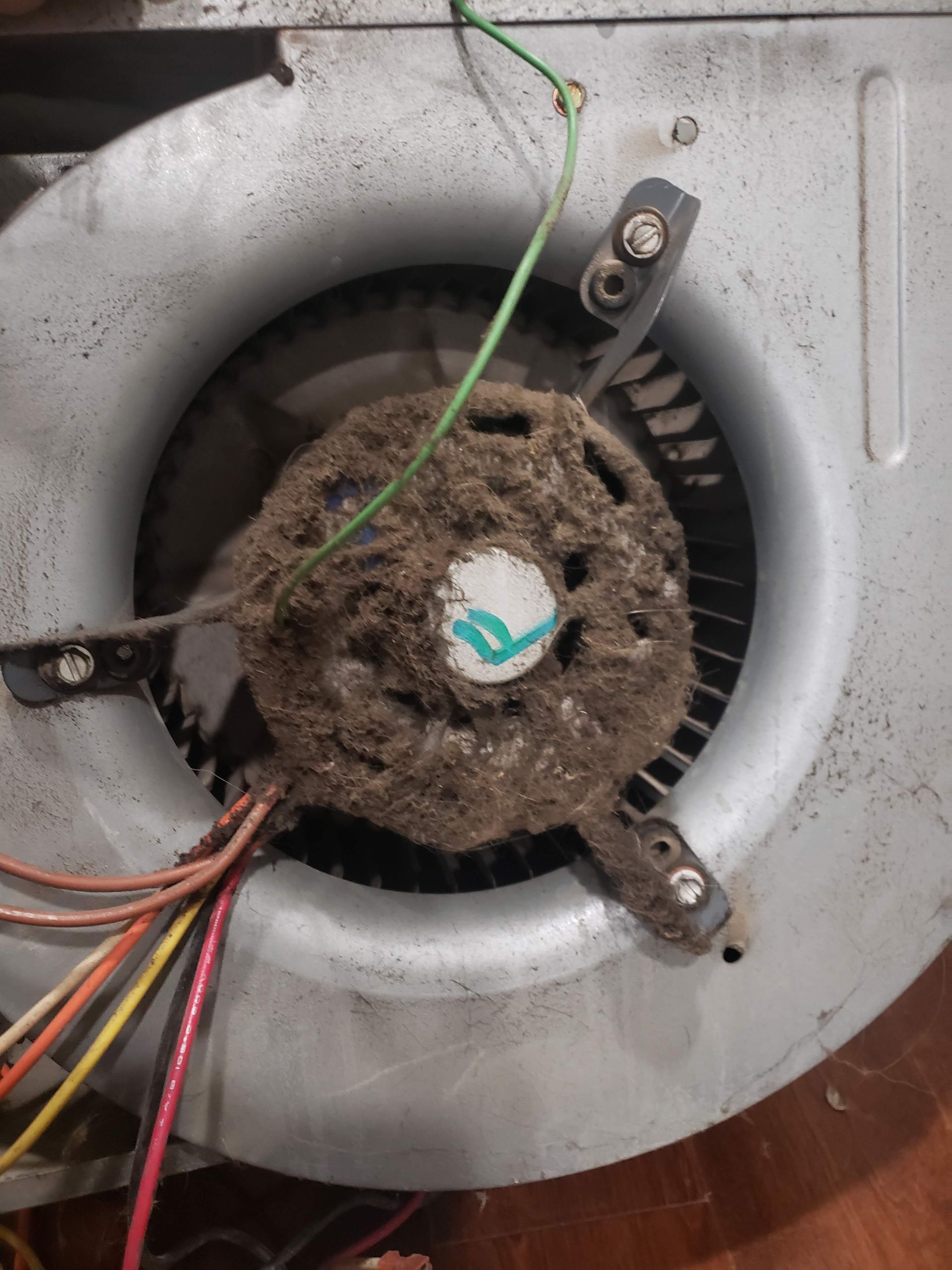 Furnace Clogged With Dust — McHenry, IL — CRS Heating and Air Conditioning Inc.