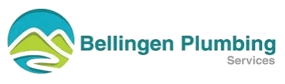 Company name