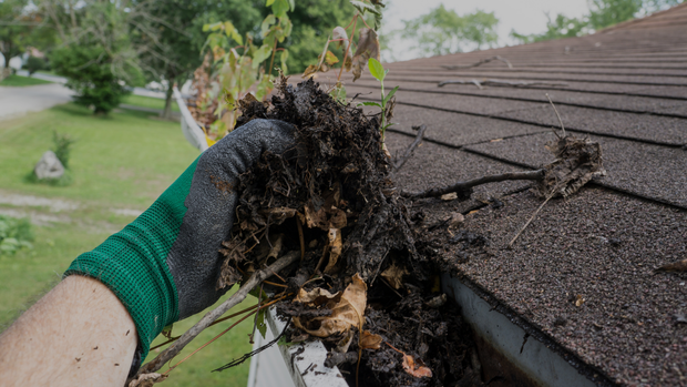 A person is cleaning a gutter from a roof.