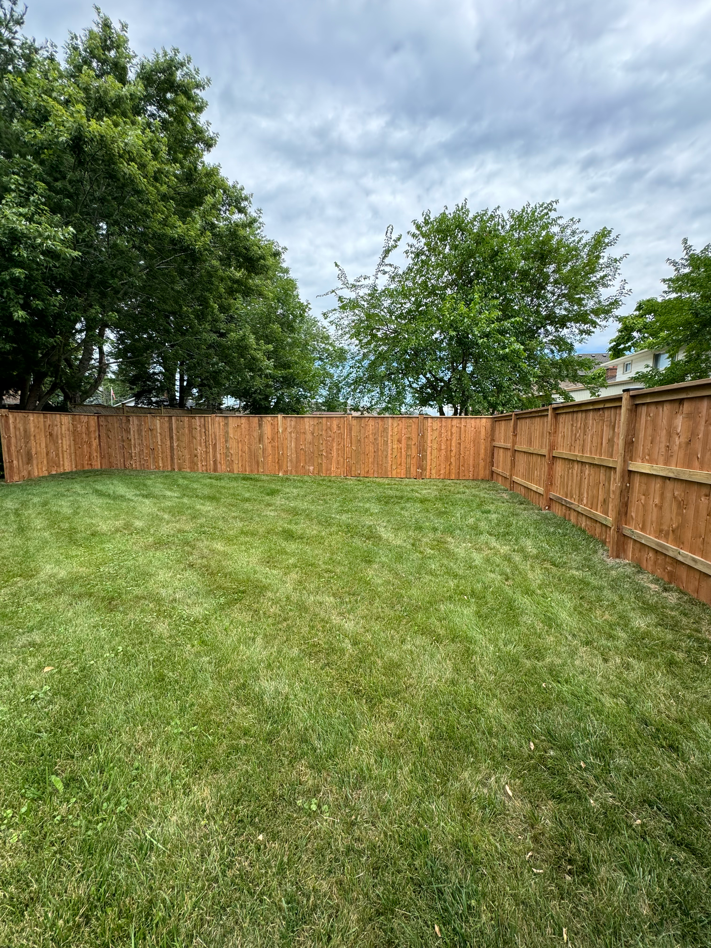 A backyard with a wooden fence and a lush green lawn.