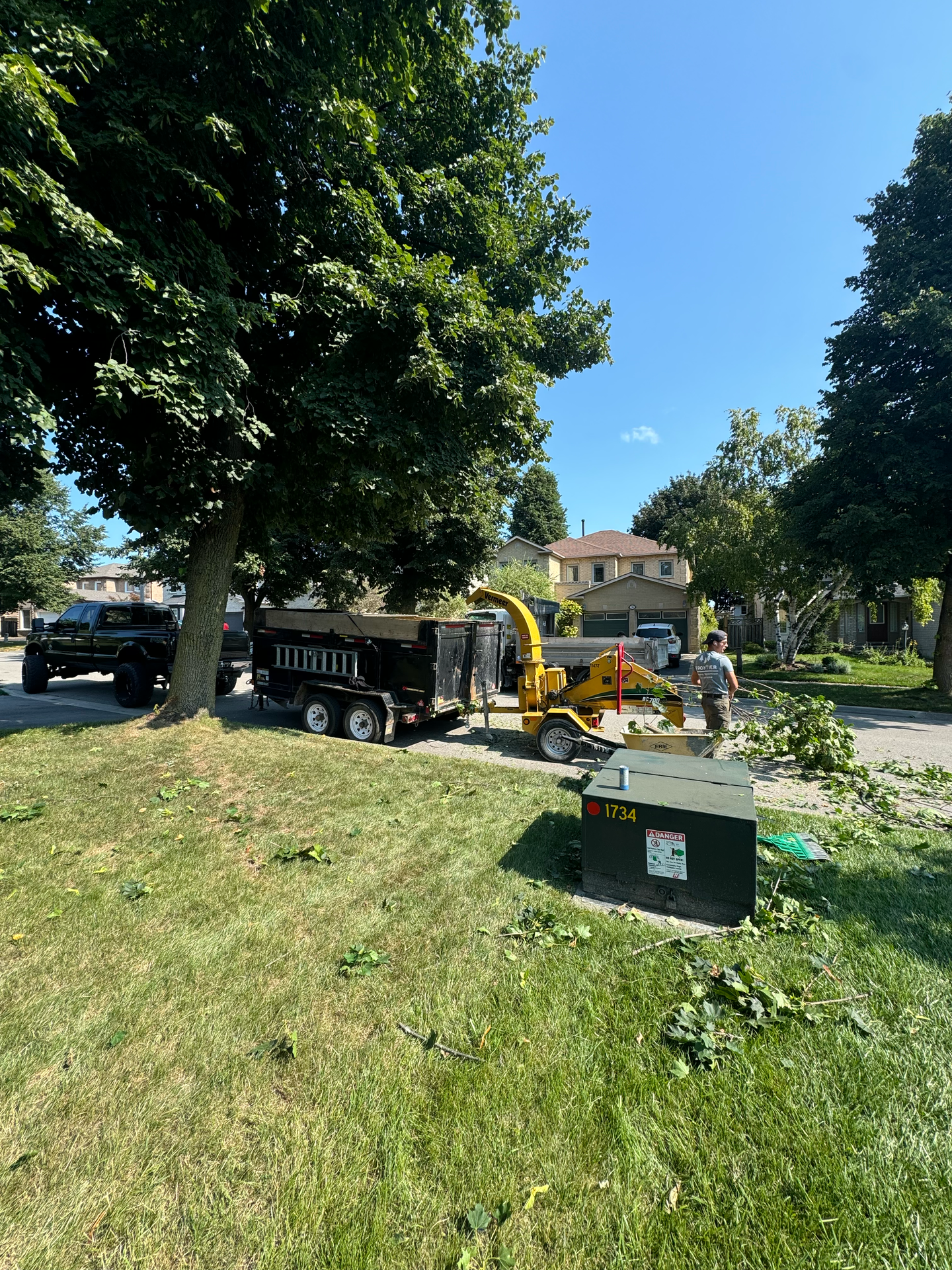 A tree chipper is being used to cut down a tree in a park.