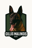 Dog Breeder