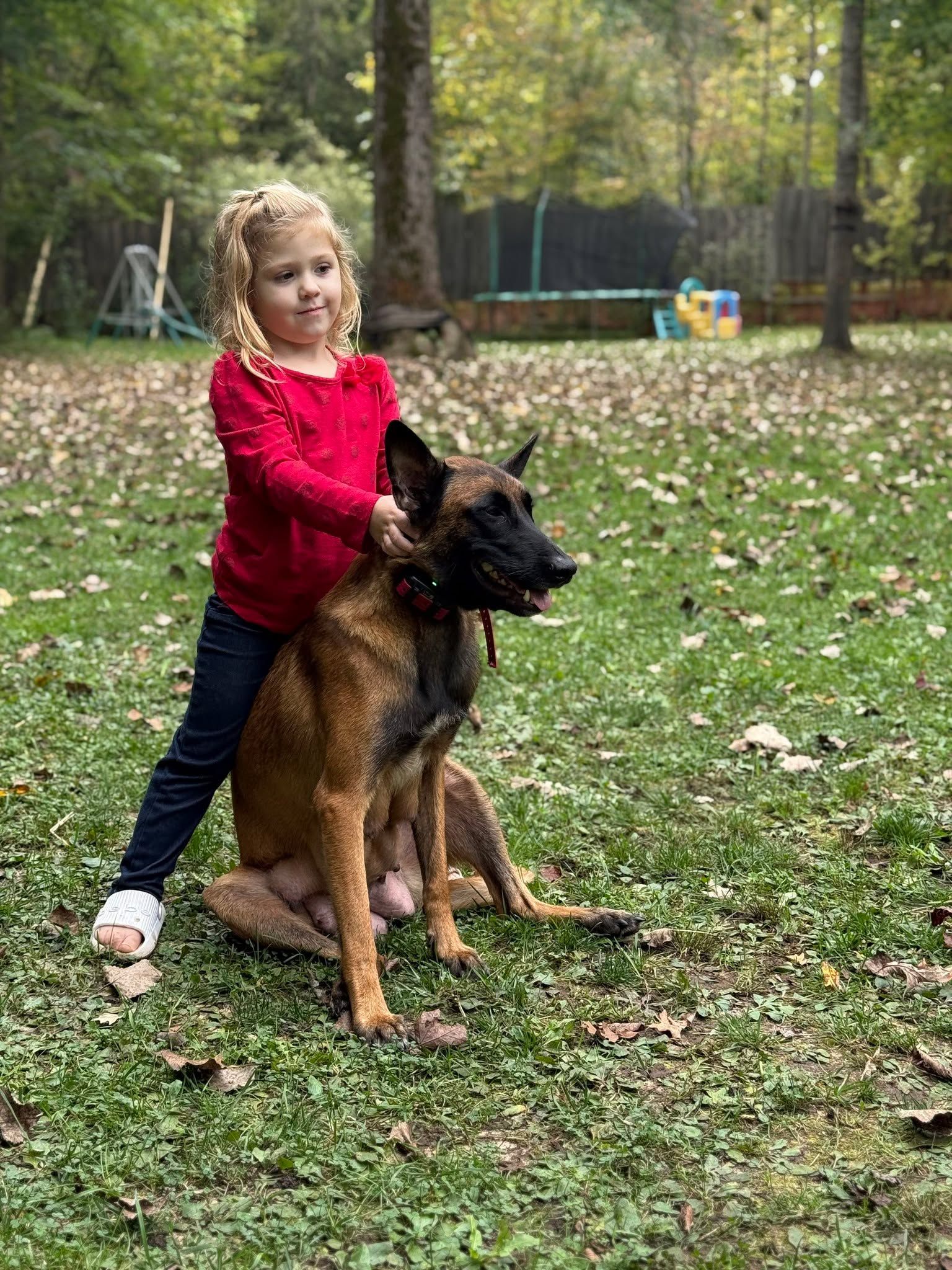 Young girl in red shirt and dog sitting in a grassy yard. The girl is holding the dog's neck.