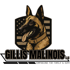 Logo: Belgian Malinois dog with tongue out inside a green and black shield, "Gillis Malinois LLC" text below.