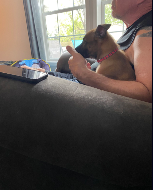 A puppy sits on a man's lap. The man is indoors, on a couch, and holding the puppy.