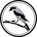 Shrike Birding Logo