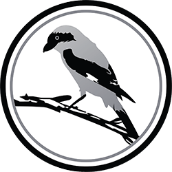 Shrike Birding Logo
