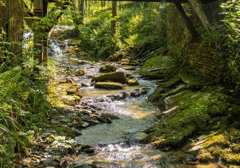 A stream flows through a shaded, mossy, rocky area under a stone bridge.