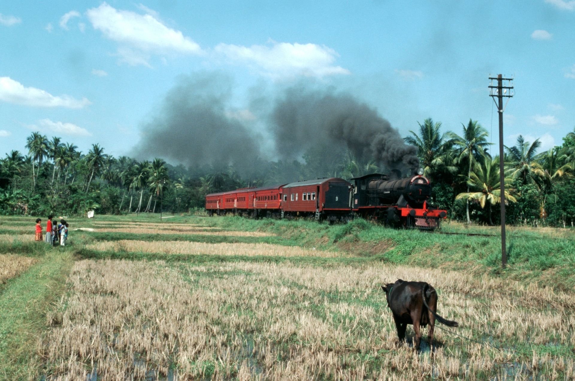 Sri Lanka - The Viceroy Special