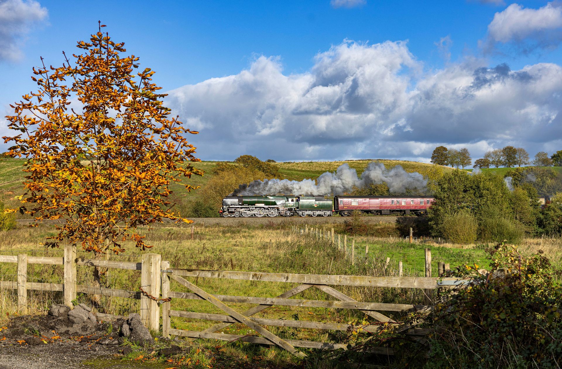 Steam train traveling along tracks, surrounded by green foliage. Black locomotive, smoke billowing.