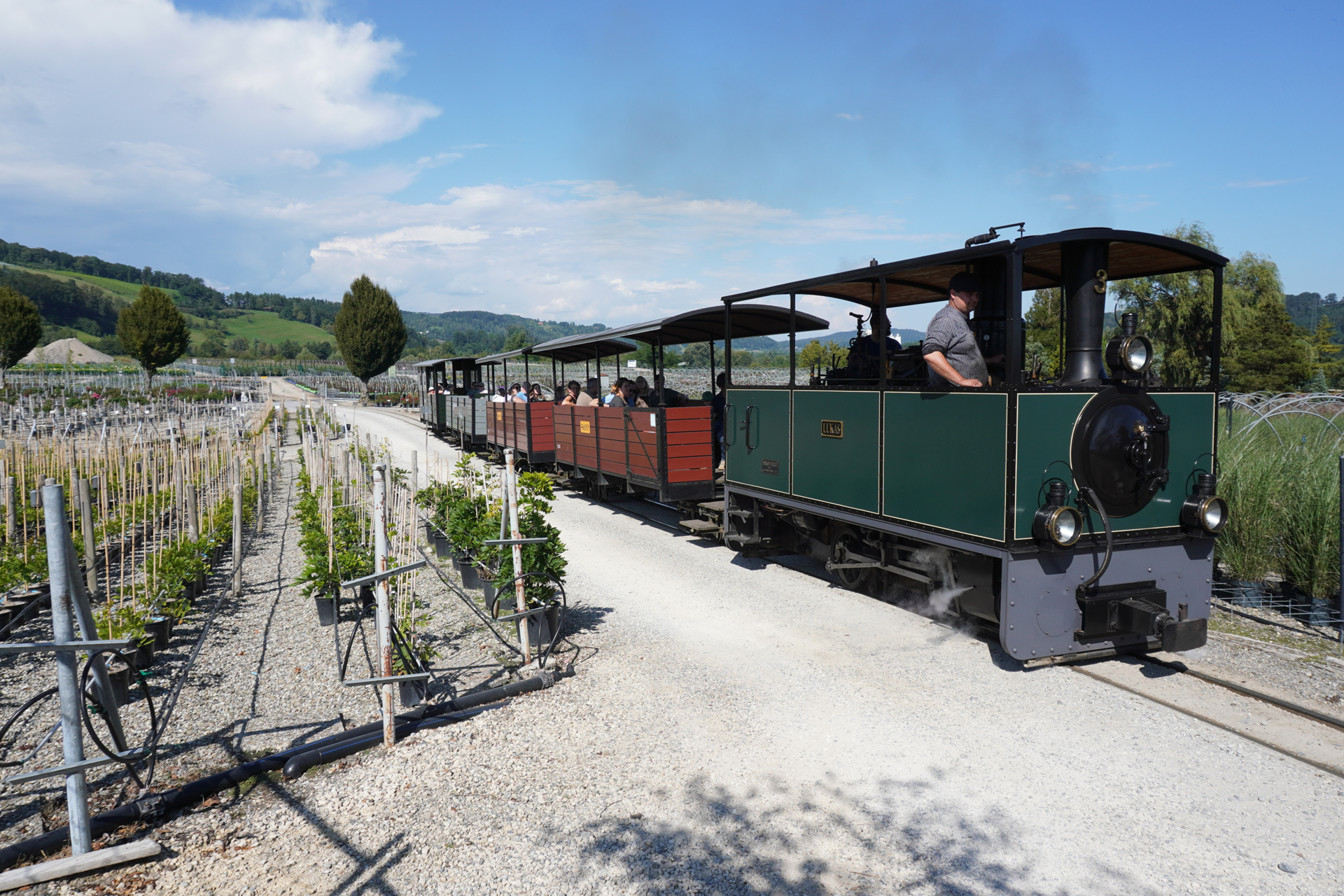 Alpine Steam Express