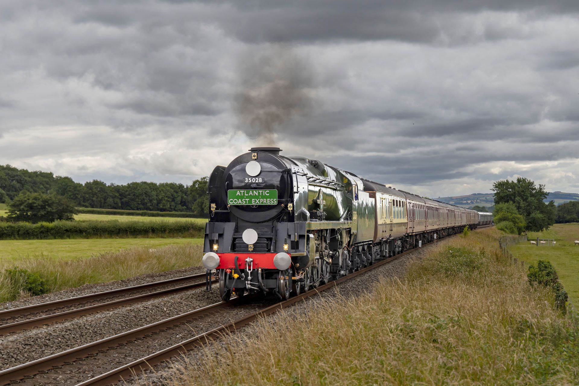 Steam locomotive pulling a long train through a green countryside under a cloudy sky