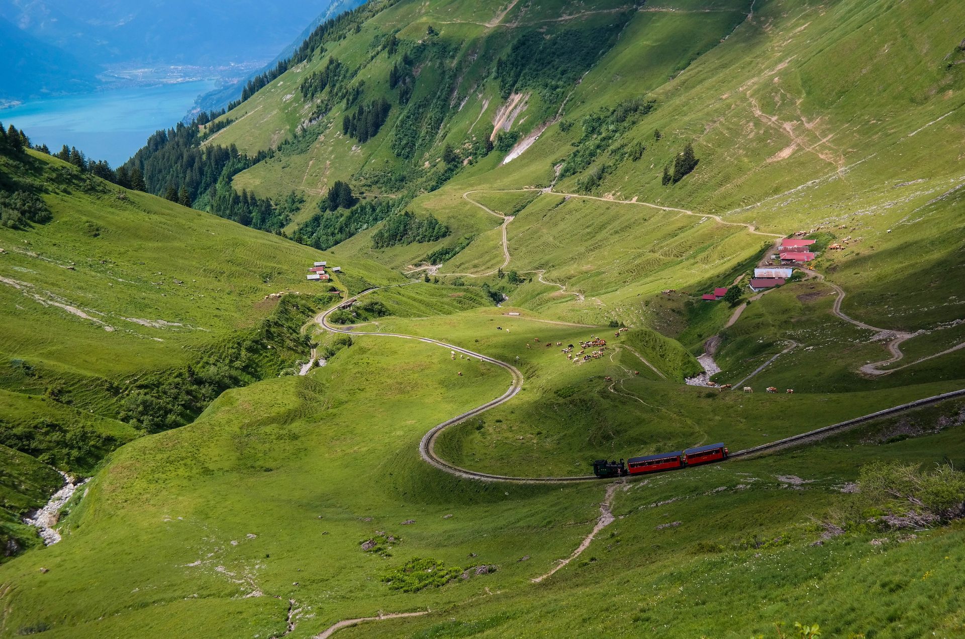 Green mountain train track curves up a hillside, red train travels up the track, lake visible in the background.