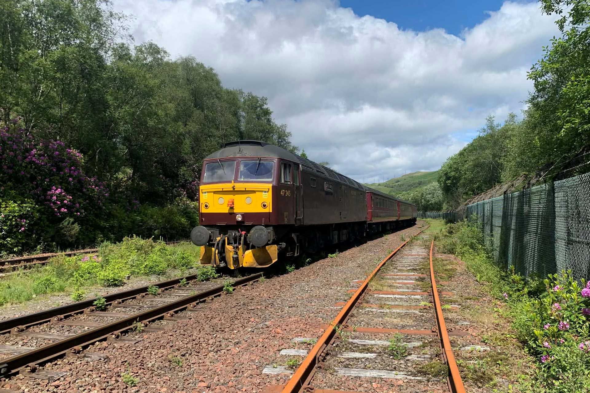 Diesel train on tracks, brown and yellow, surrounded by green trees and foliage, under a cloudy sky.