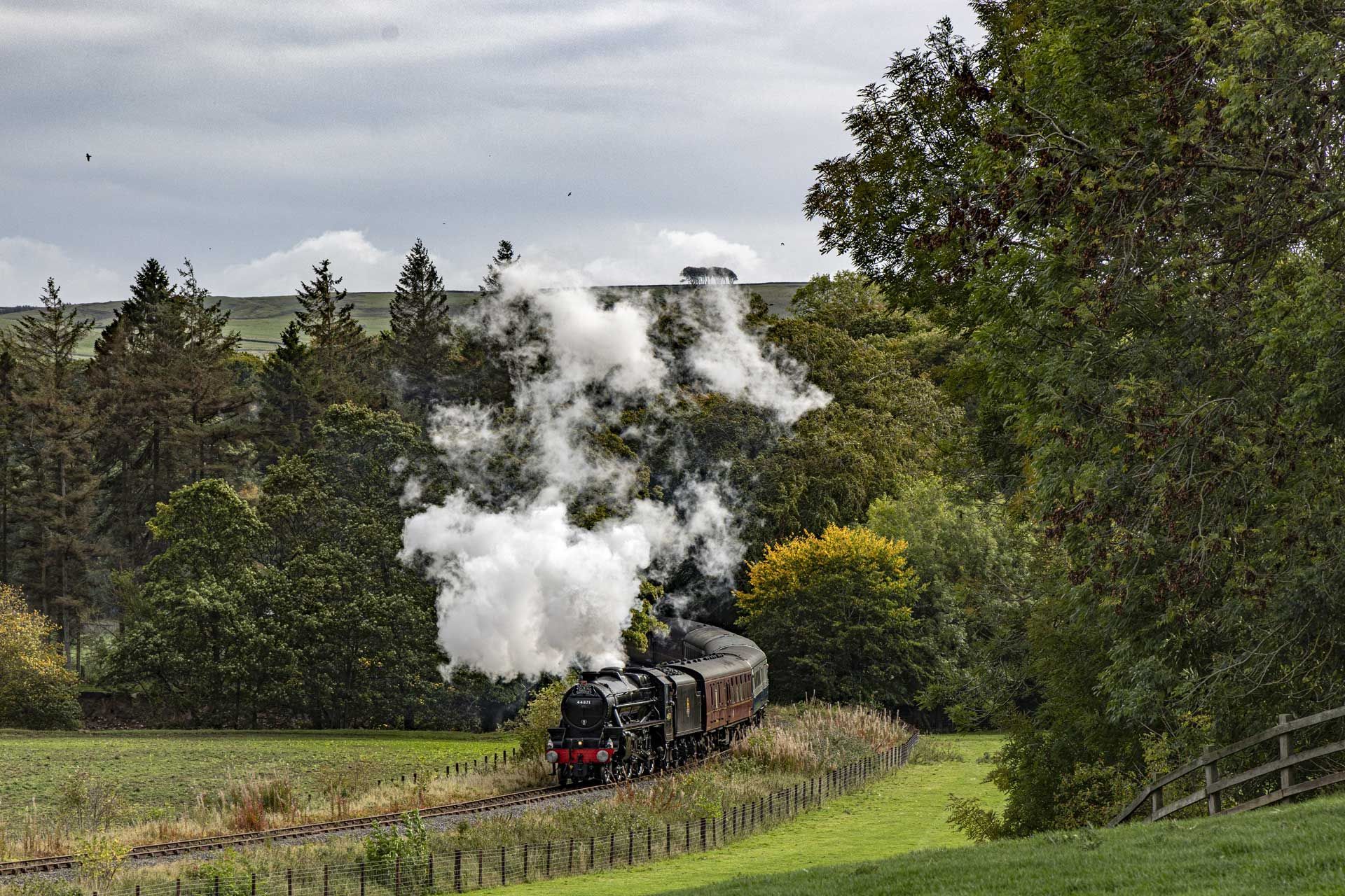 Steam train billowing smoke curves through green countryside.