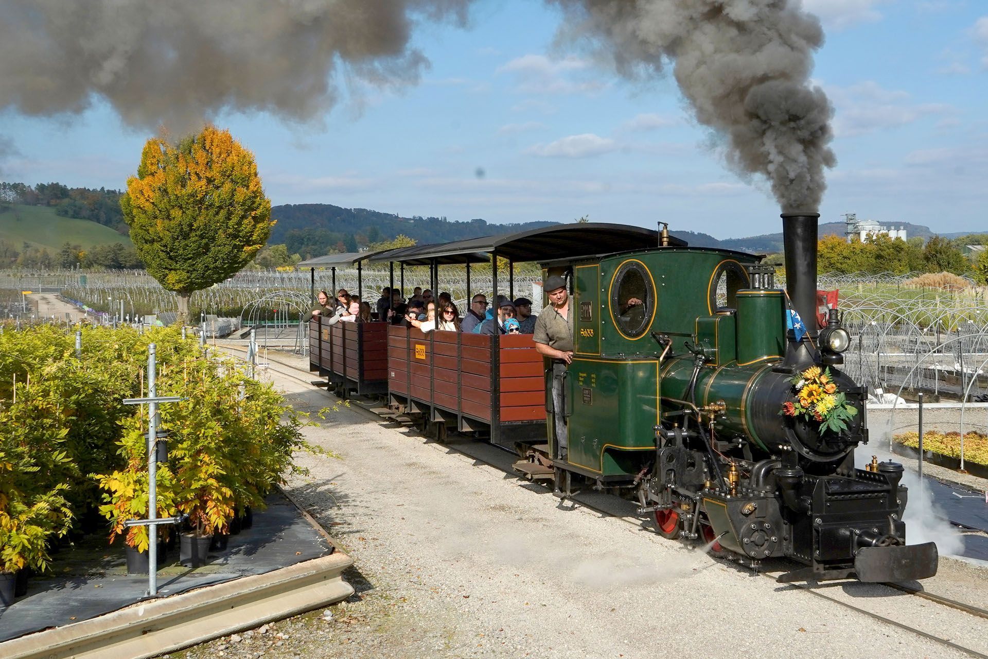 Steam train carrying passengers on a gravel track through a nursery; trees and fields in the background.