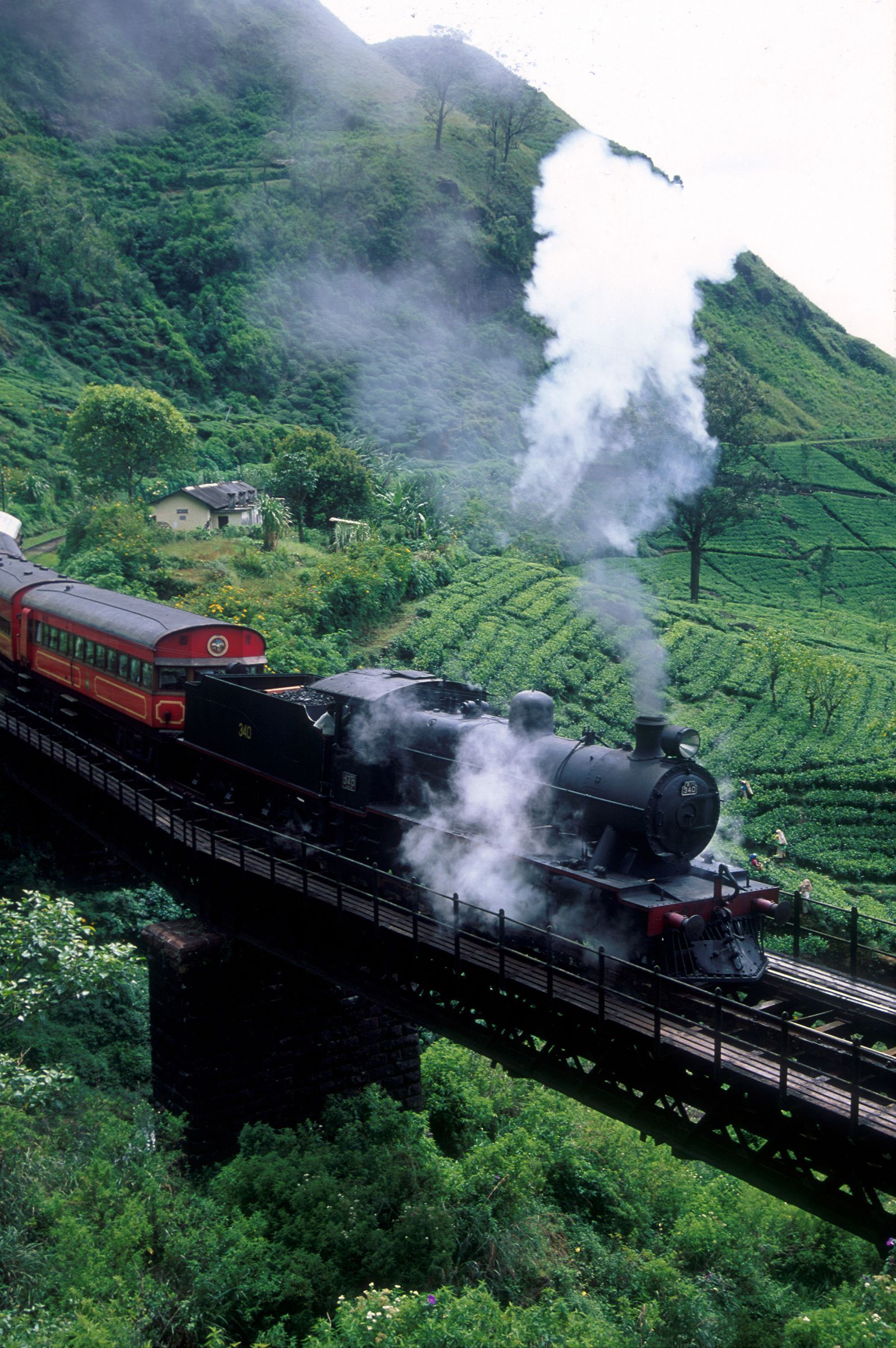 Sri Lanka - The Viceroy Special