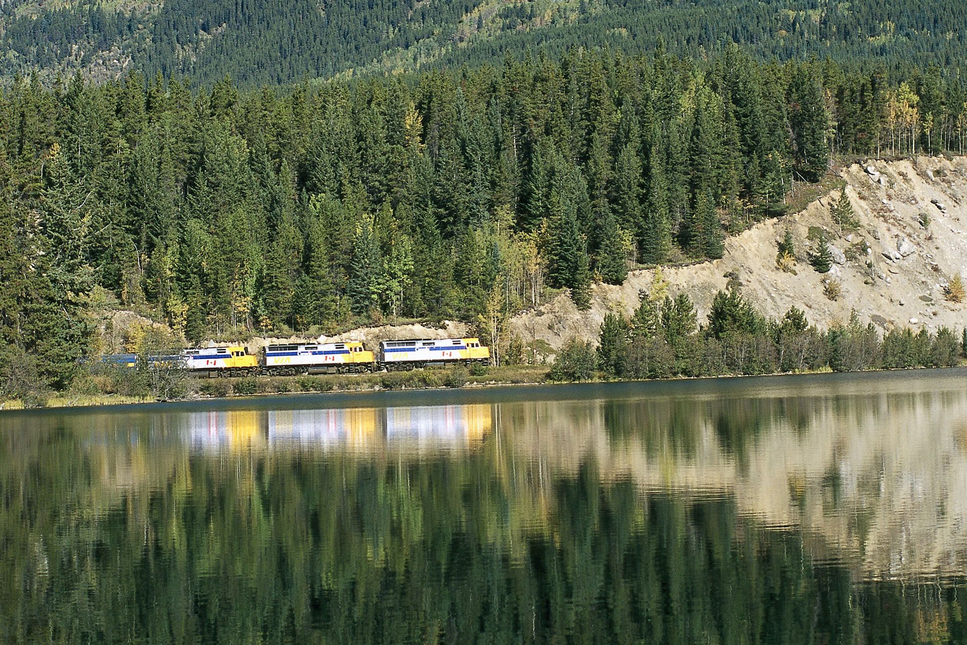 Train traveling alongside a lake with trees and their reflections. Yellow, blue, and white train cars.