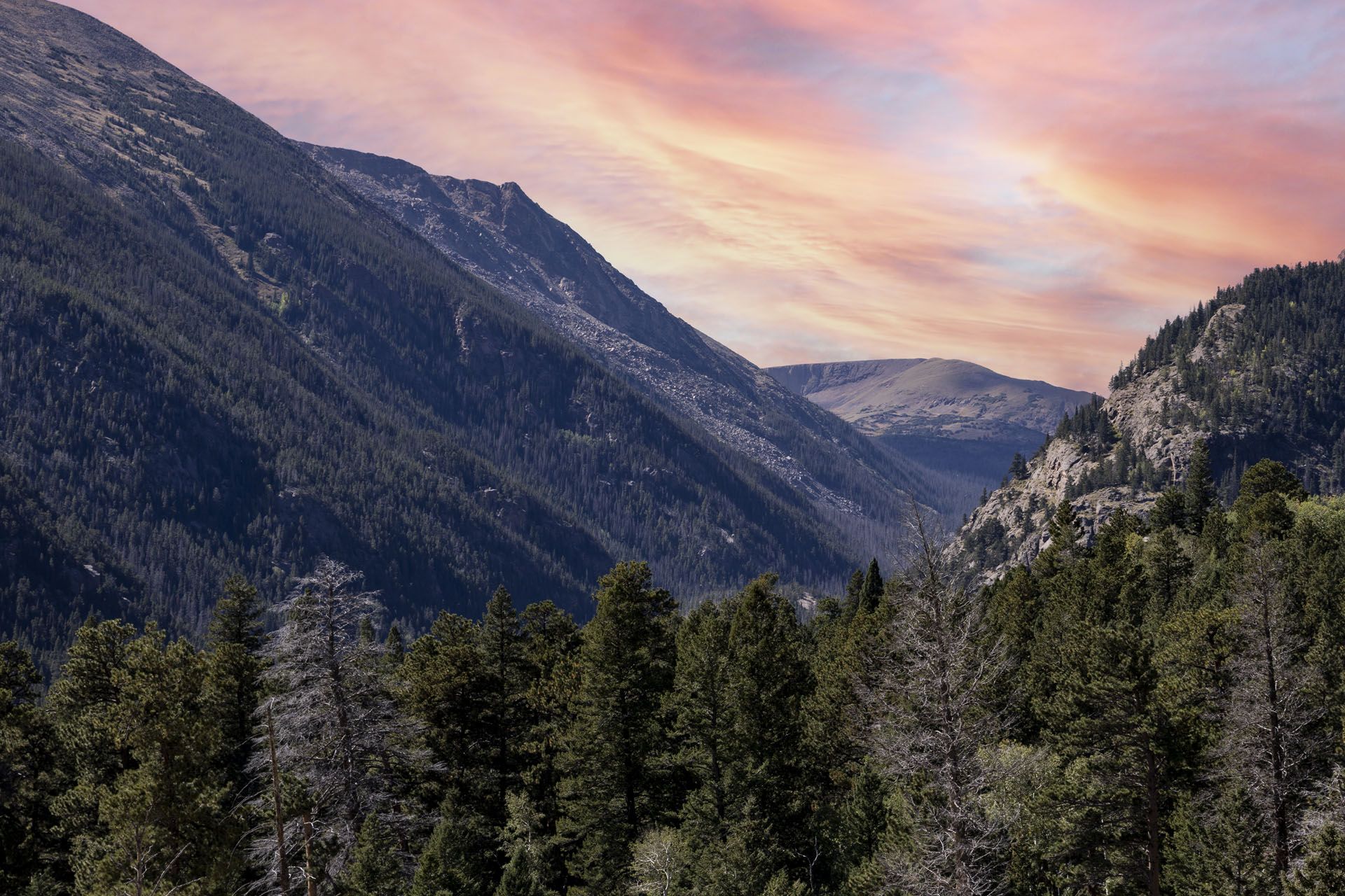 Mountain landscape with dark green forest in the foreground, and a colorful sunset sky.