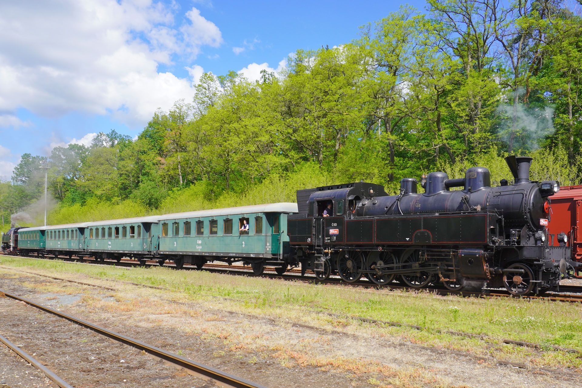 Steam train with passenger cars on tracks, green and black. Trees in background.