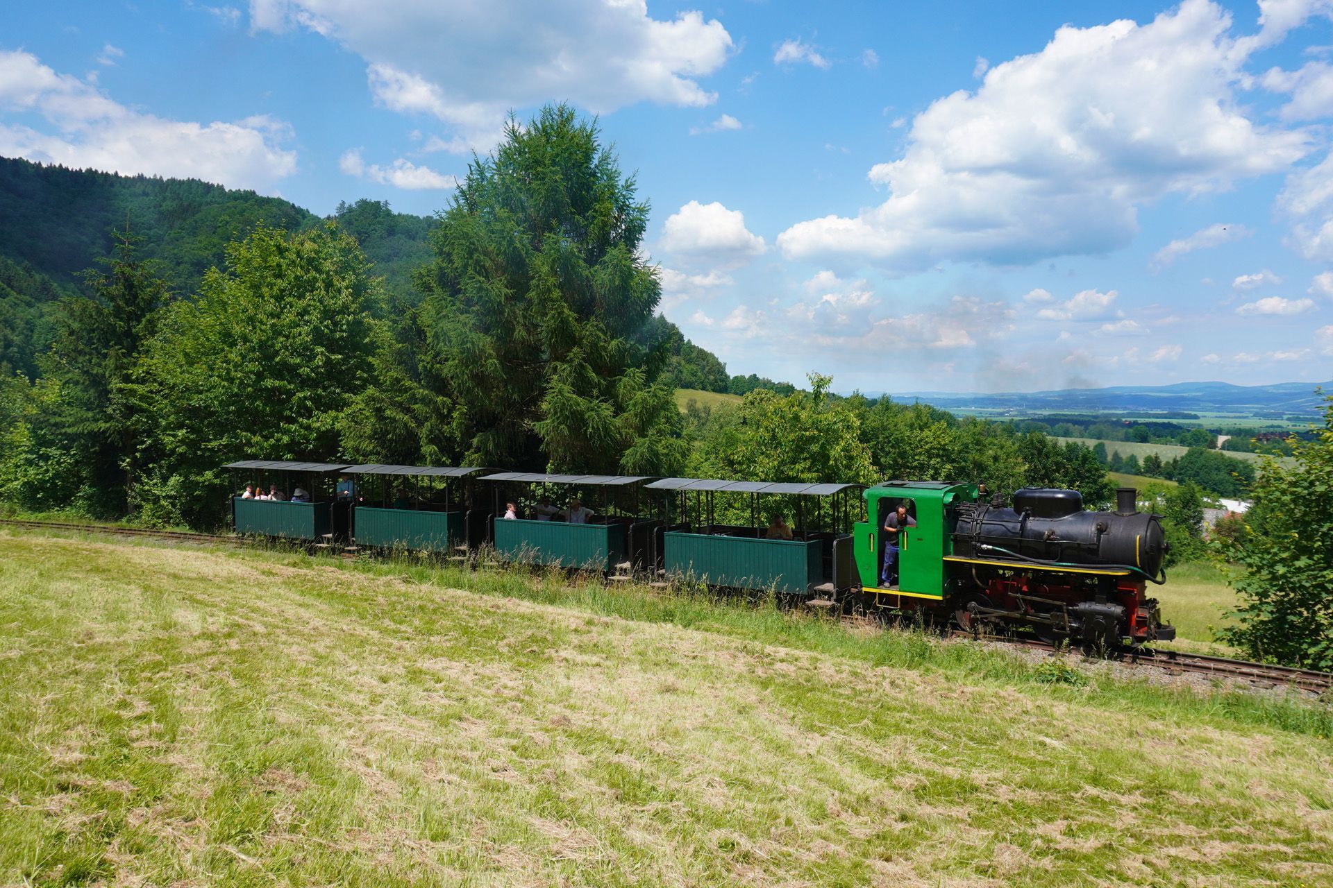 czech steam safari 2024