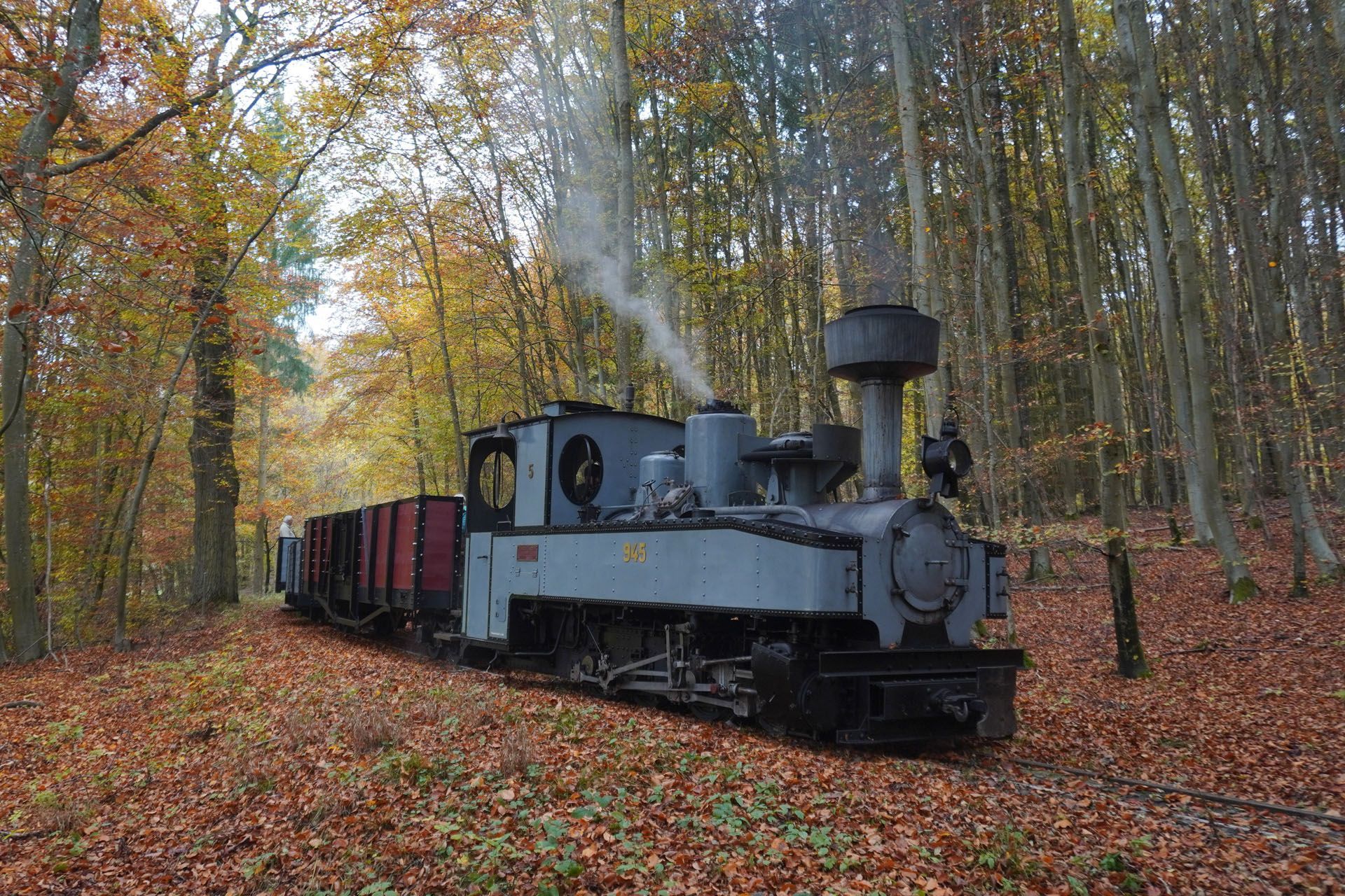 Steam train chugging through a forest of autumn trees, pulling cargo cars.