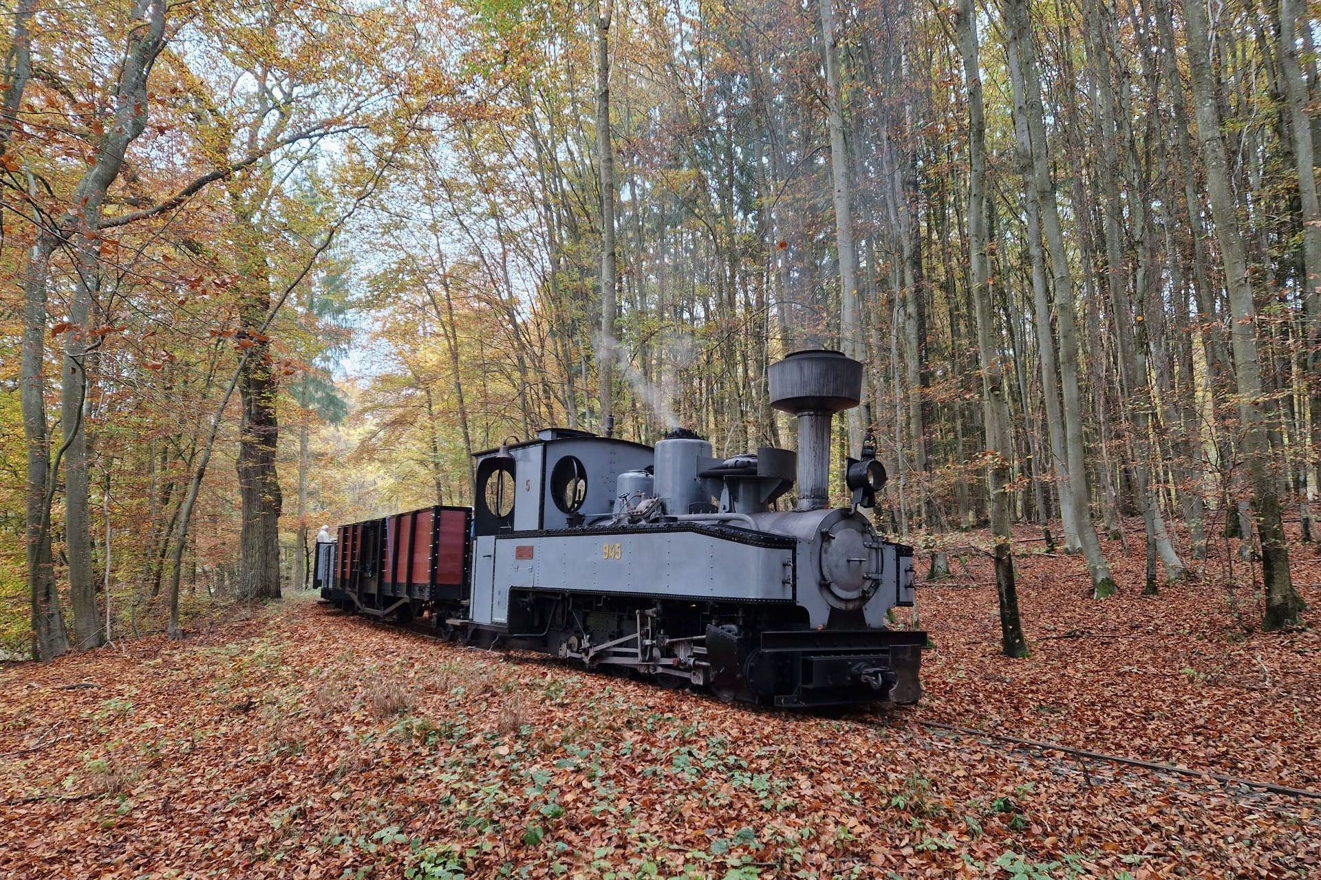 Autumn Steam in the Harz Mountains