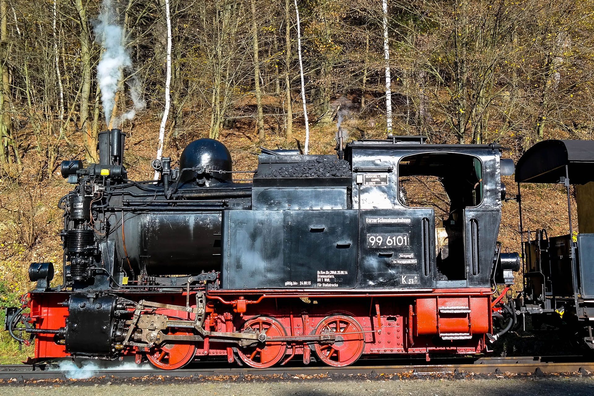 Autumn Steam in the Harz Mountains