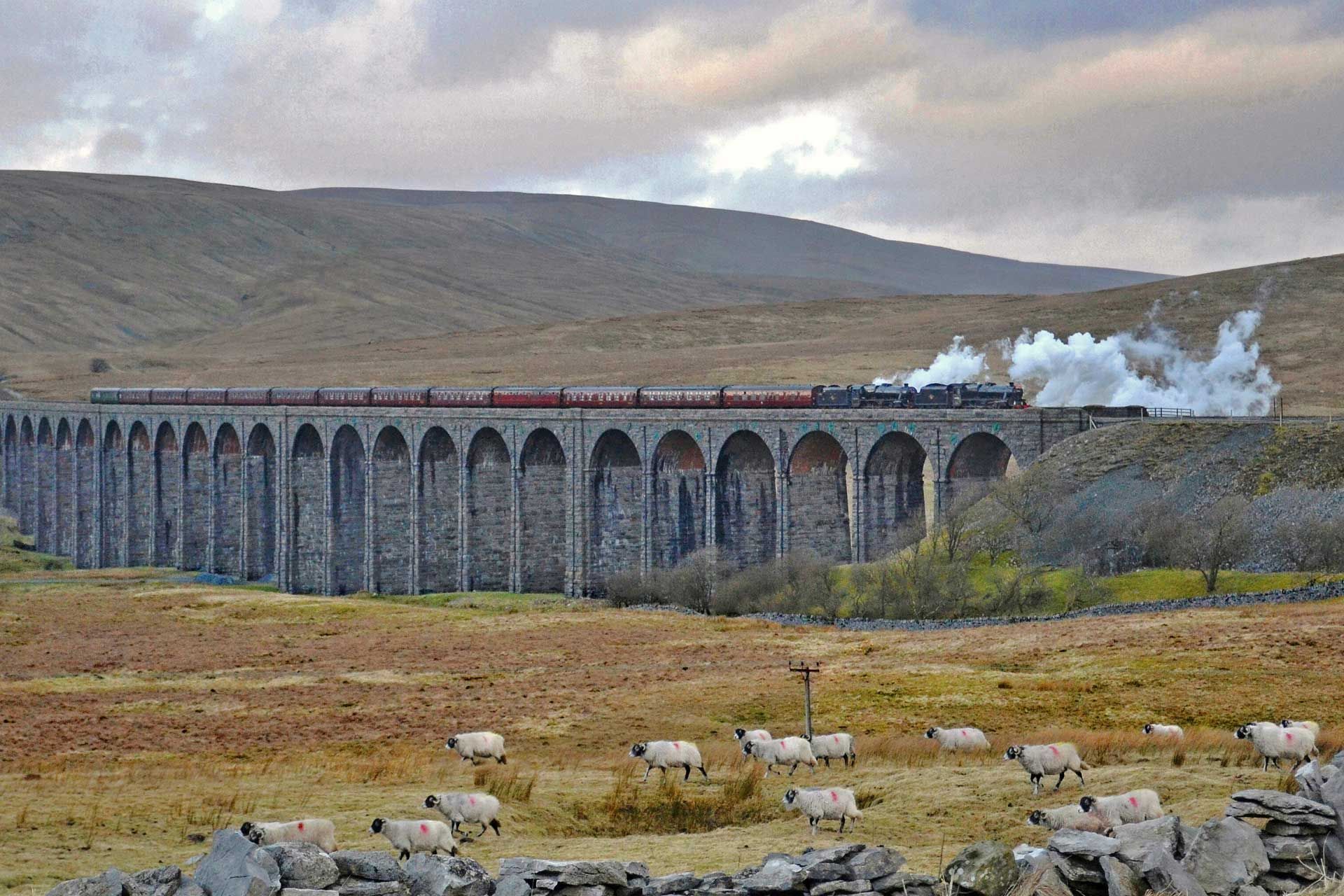 For a memorable day out step on board for one of our 2024 steam days trips.