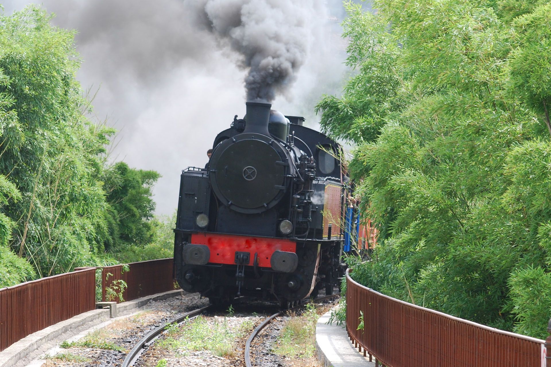 Black steam train chugging along tracks, billowing smoke, surrounded by green trees and a wooden fence.