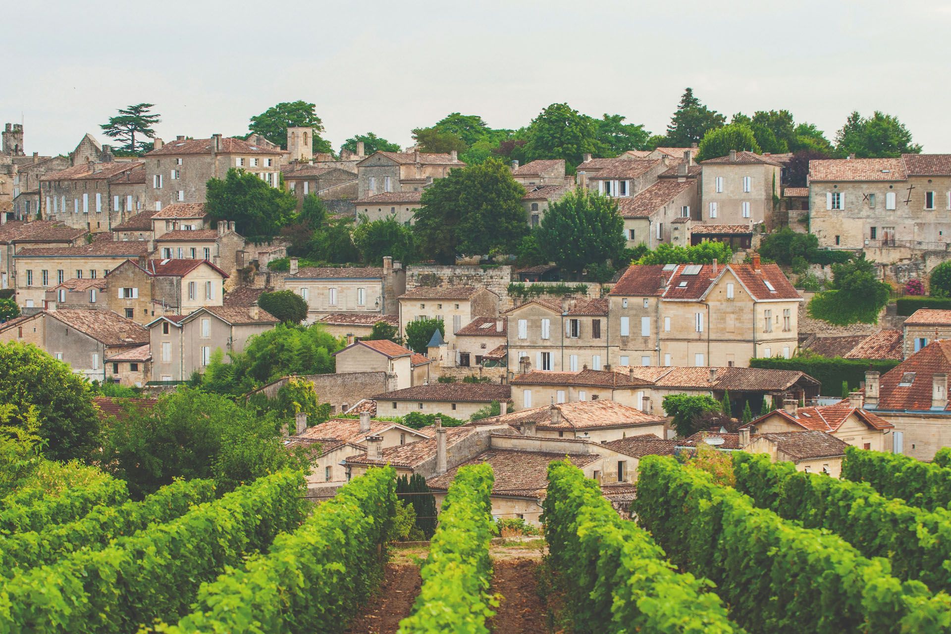 Vineyard rows in foreground, overlooking a European town with stone buildings, green trees, and cloudy sky.