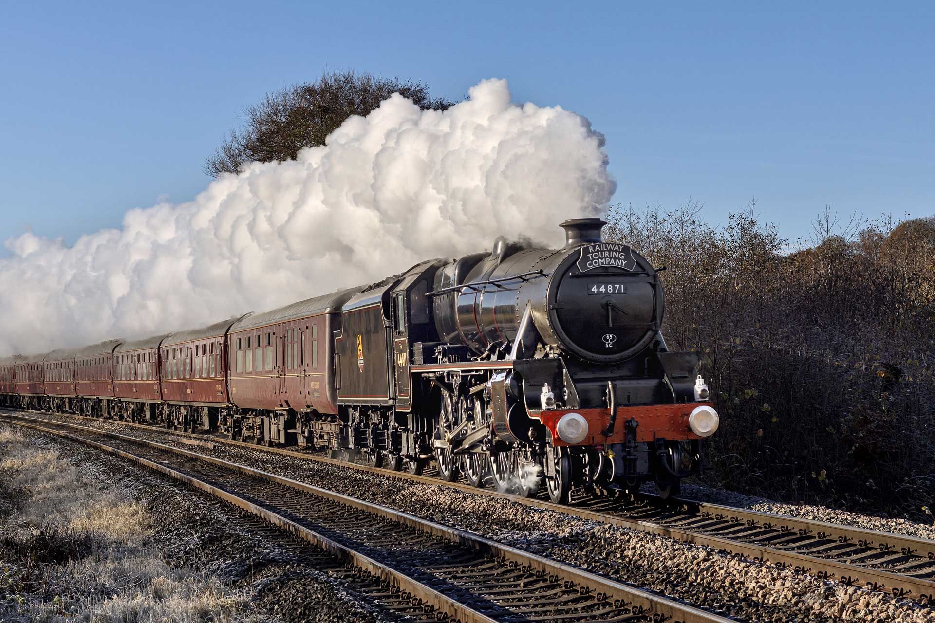 Valentine's White Rose