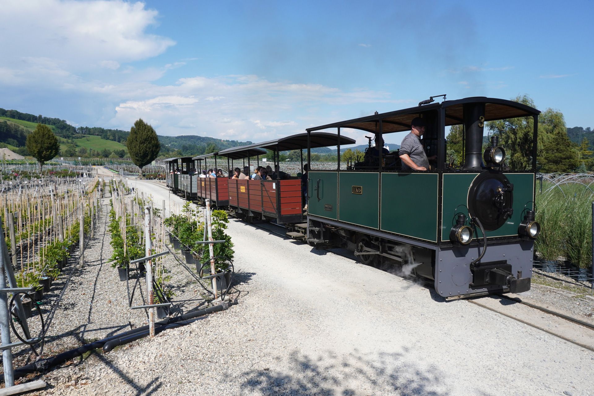 alpine steam express